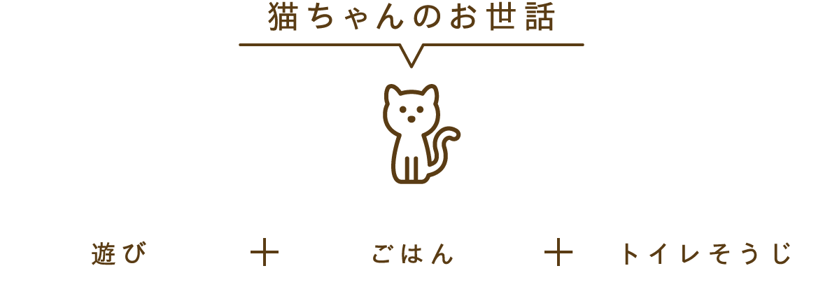猫ちゃんのお世話