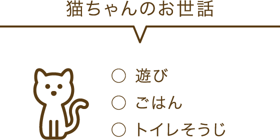猫ちゃんのお世話