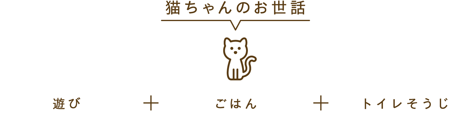 猫ちゃんのお世話