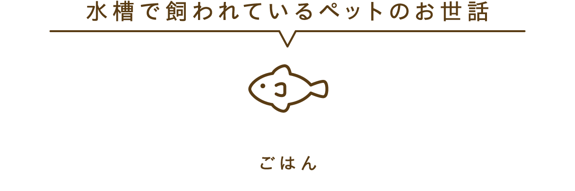 水槽で飼われているペットのお世話