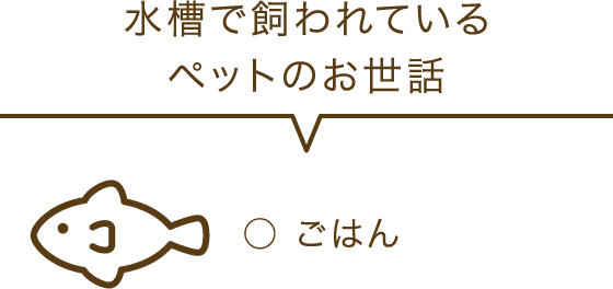 水槽で飼われているペットのお世話